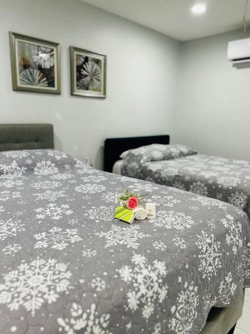Grey Novo Studio + Free-Parking&Wifi Tampa Ngoại thất bức ảnh