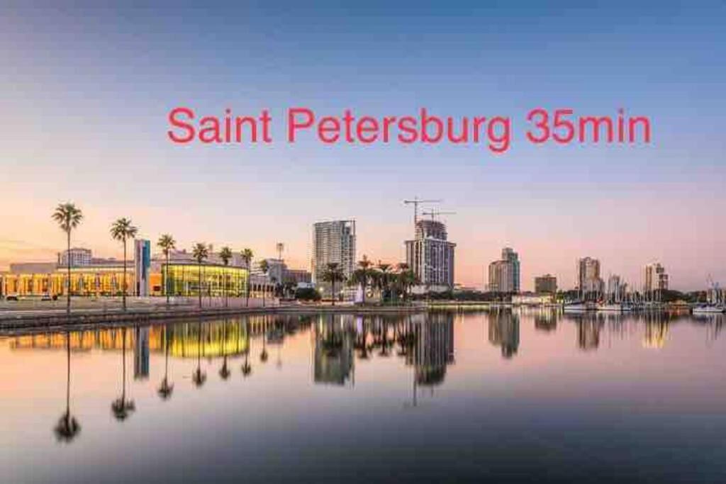 Grey Novo Studio + Free-Parking&Wifi Tampa Ngoại thất bức ảnh