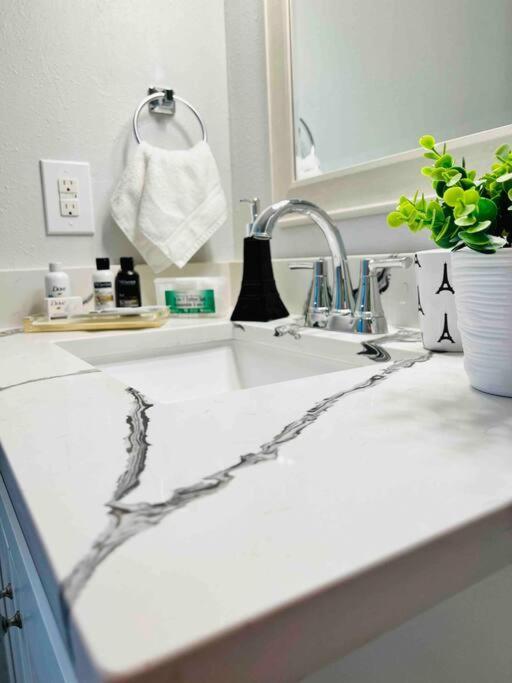 Grey Novo Studio + Free-Parking&Wifi Tampa Ngoại thất bức ảnh